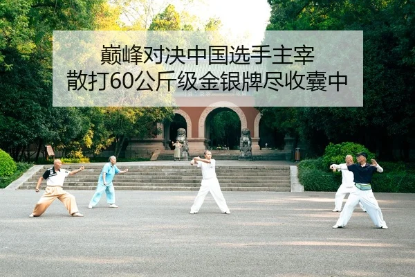 dian-feng-dui-jue-zhong-guo-xuan-shou-zhu-zai-san-da-gong-jin-ji-jin-yin-pai-jin-shou-nang-zhong-2-614.jpg